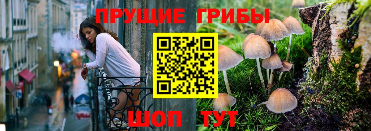 Галлюциногенные грибы мухоморы  Вход с VPN  Галлюциногенные грибы GOLDEN TEACHER  Кизилюрт 